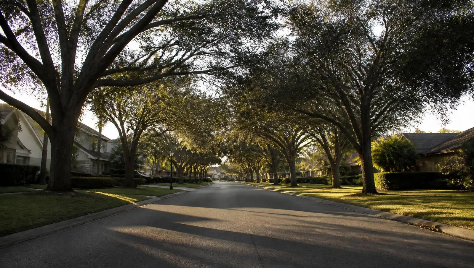 Rua residencial arborizada na Flórida