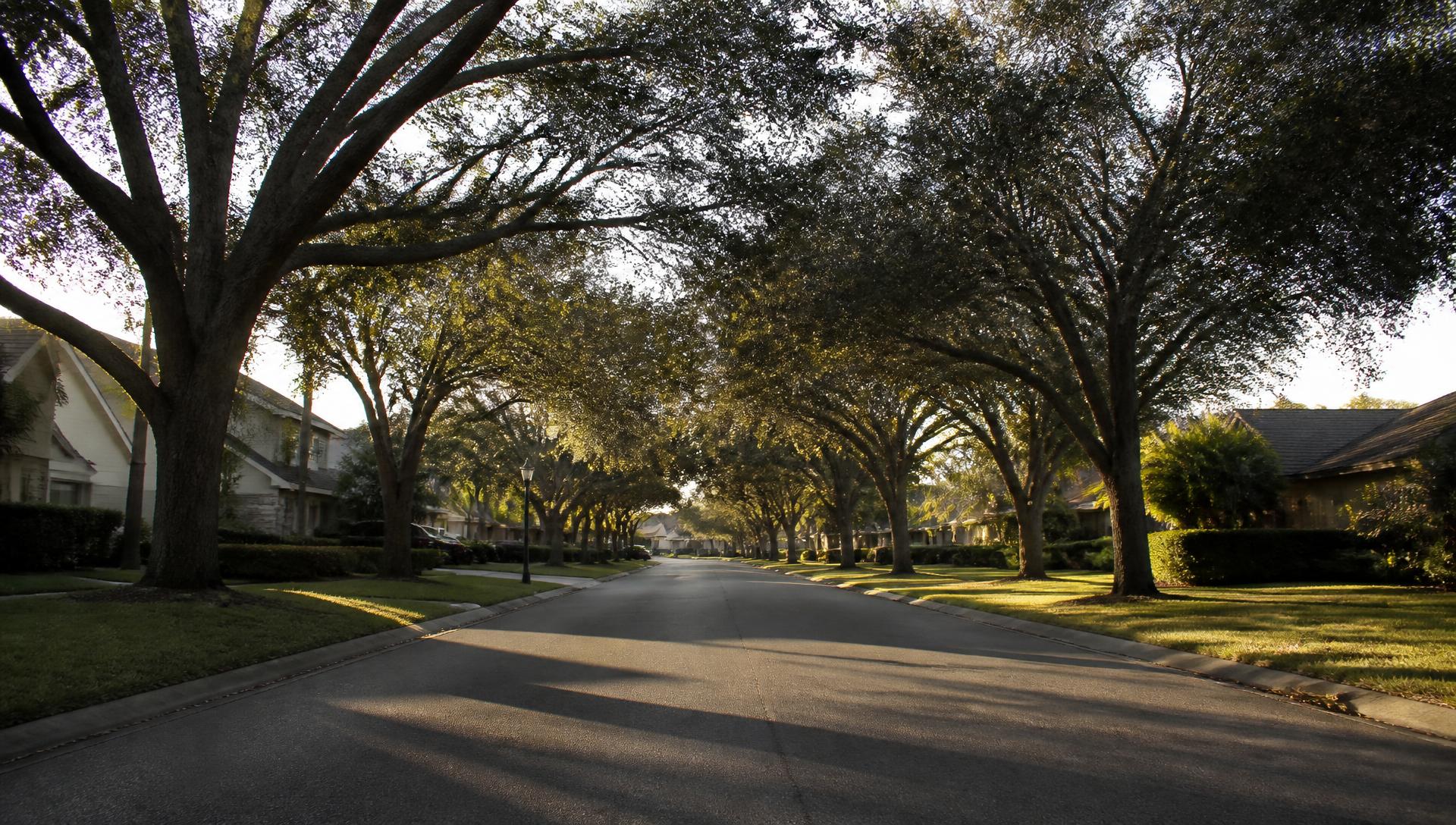 Tree-lined residential street in Central Florida